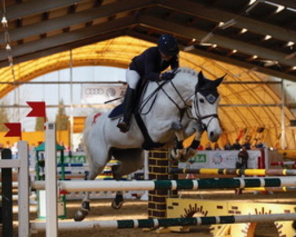 jumper Grand Lady 32 (German Sport Horse, 2009, from Lefevre)