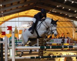 jumper Grand Lady 32 (German Sport Horse, 2009, from Lefevre)