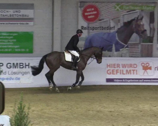 Reitturnier Borken 2018