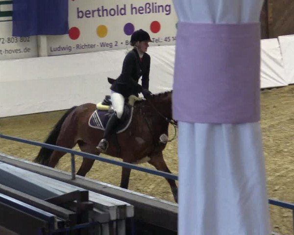 Reitturnier Borken 2018