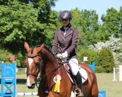 jumper Lascada 17 (Hanoverian, 2012, from Ludwigs As)