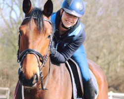 dressage horse Caspari D.V. (KWPN (Royal Dutch Sporthorse), 2012, from Carambole)