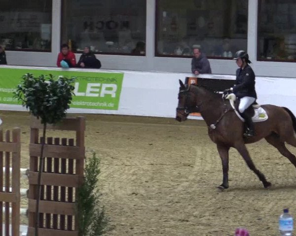 Reitturnier Borken 2018