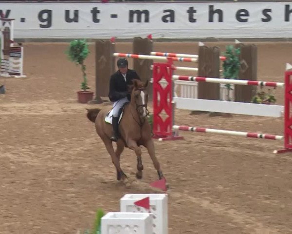 FEI Reitturnier Kreuth (GER) 2018