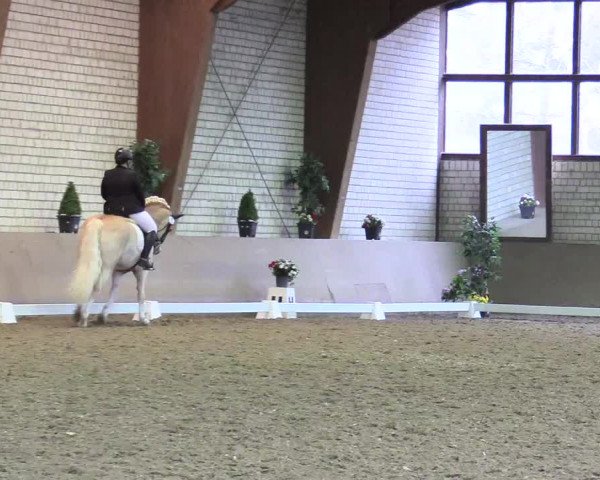 Reitturnier Kamen 2018