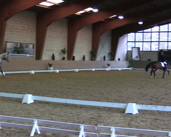 Reitturnier Kamen 2018