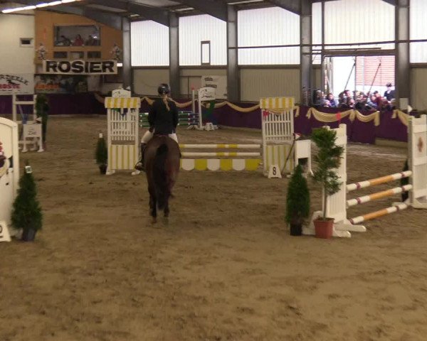 Reitturnier Arnsberg-Voßwinkel 2018