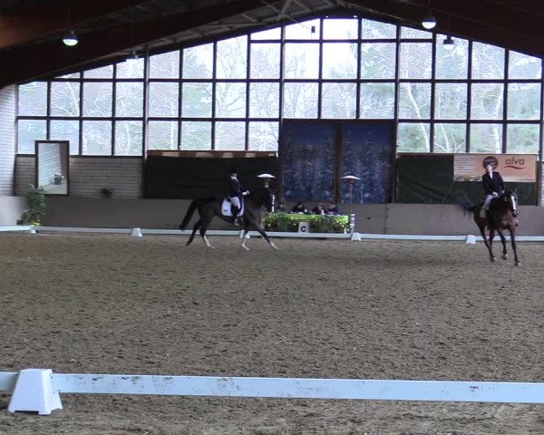 Reitturnier Kamen 2018
