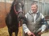 dressage horse Don Valentine (Hanoverian, 2015, from Don Nobless)