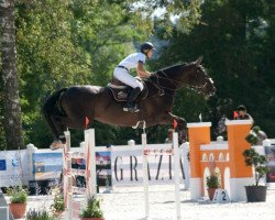 jumper Jennifer II (Polish Warmblood, 2007, from Ever For Pleasure)