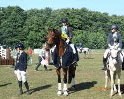 dressage horse Fürst Fidibus (Württemberger, 2008, from Fürstenreich)