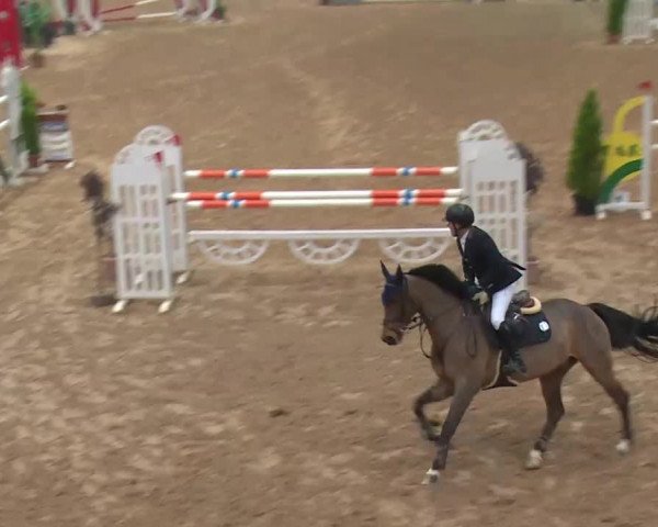 FEI Reitturnier Kreuth (GER) 2018