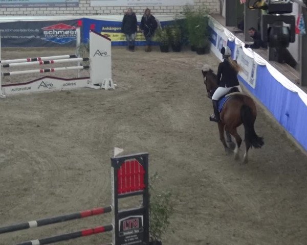 Reitturnier Lathen 2018