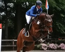 jumper Cliff GM (Hanoverian, 2010, from Cloney)