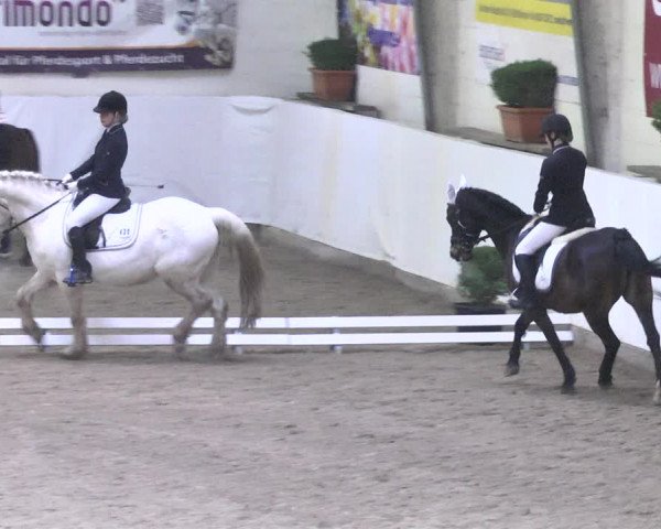Reitturnier Viernheim 2018