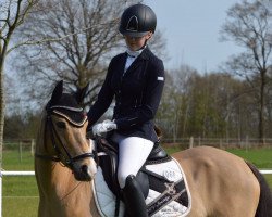 broodmare Crown Imagine (German Riding Pony, 2008, from Fehkamp's Coestelin)