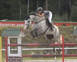 jumper Ferdinand (KWPN (Royal Dutch Sporthorse), 2010, from Faldo)