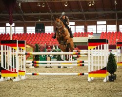 jumper Ceedah (Oldenburg show jumper, 2009, from Chap 47)