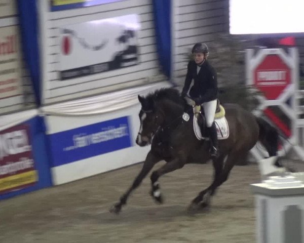 Reitturnier Lathen 2018