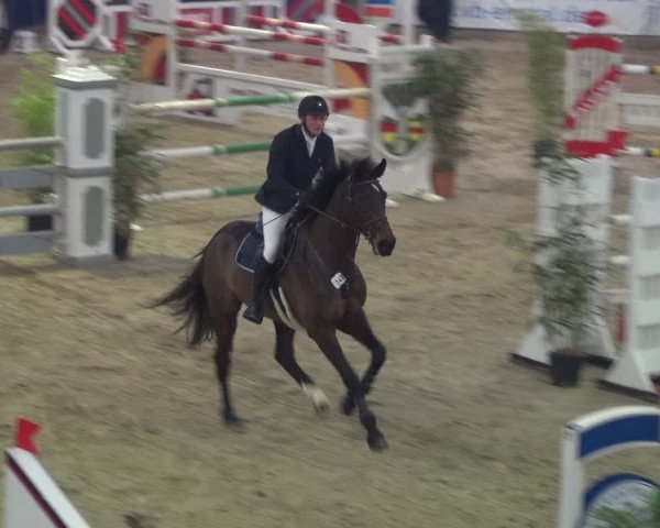 Reitturnier Lathen 2018