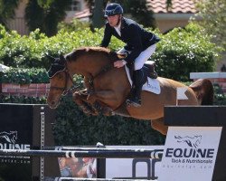 jumper Carabelle (KWPN (Royal Dutch Sporthorse), 2007, from Lord Z)