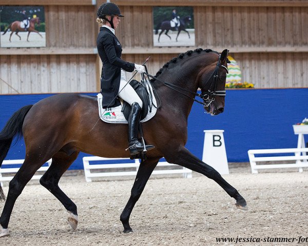 dressage horse Bordeaux 28 (Royal Warmblood Studbook of the Netherlands (KWPN), 2006, from United)