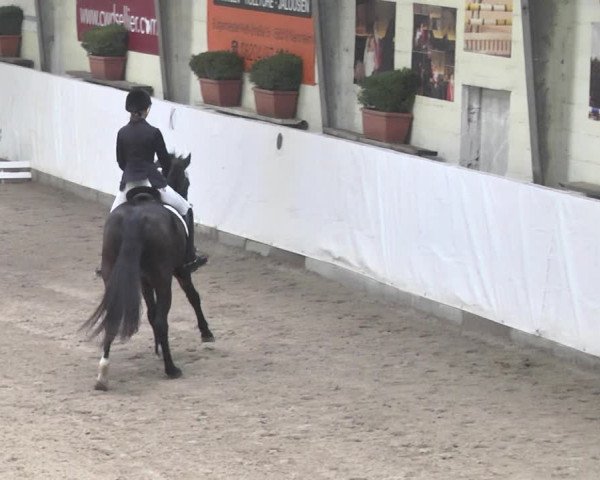 Reitturnier Viernheim 2018