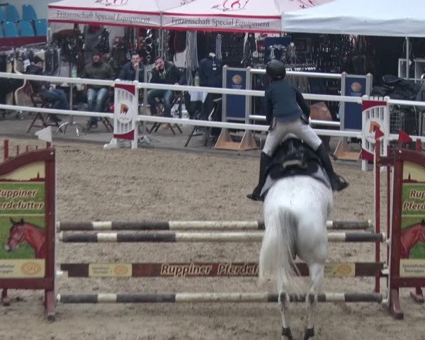 Reitturnier Neustadt/Dosse 2018