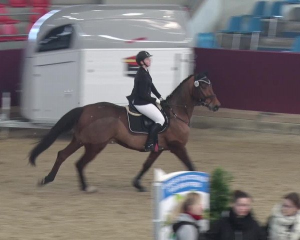 Reitturnier Neustadt/Dosse 2018