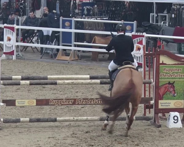 Reitturnier Neustadt/Dosse 2018
