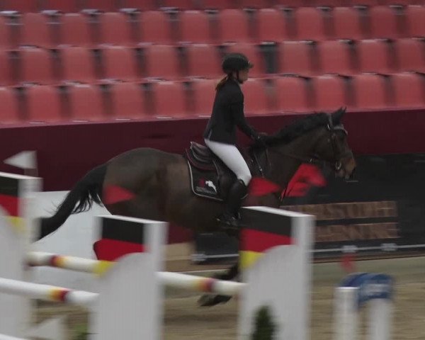 Reitturnier Neustadt/Dosse 2018