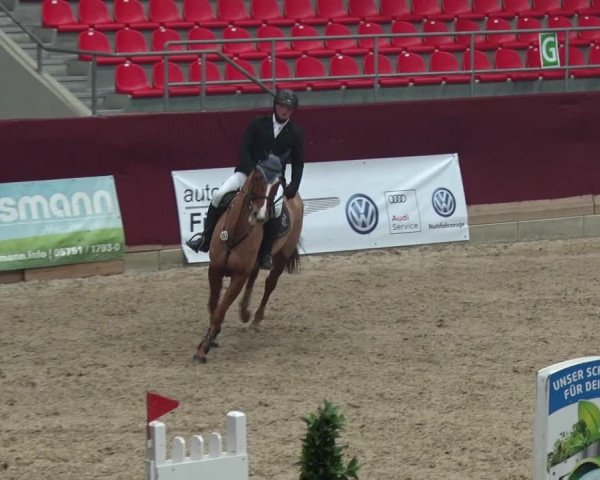 Reitturnier Neustadt/Dosse 2018