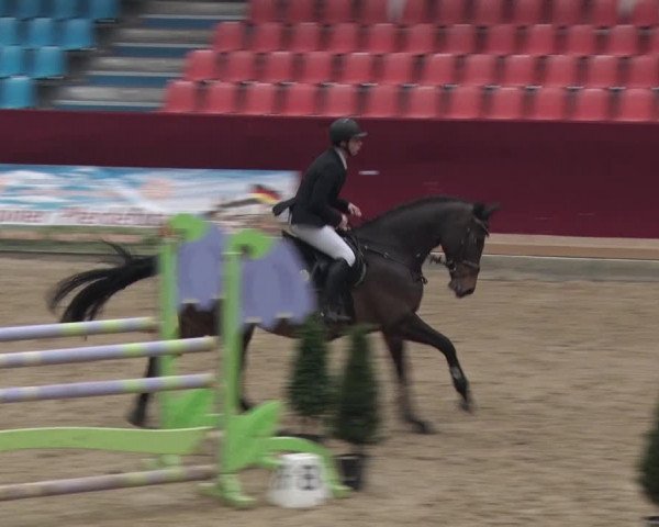 Reitturnier Neustadt/Dosse 2018