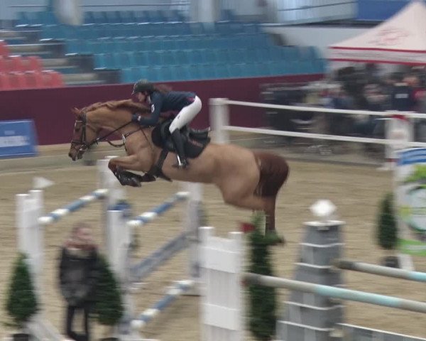 Reitturnier Neustadt/Dosse 2018