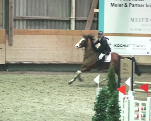 Reitturnier Bülach 2018