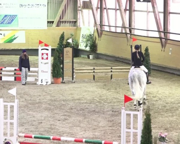 Reitturnier Bülach 2018