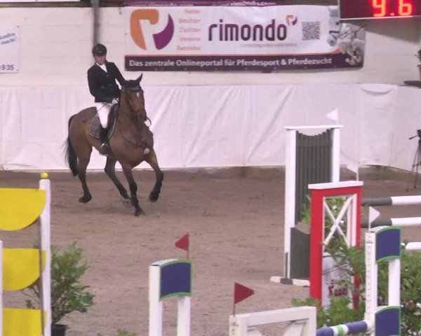 Reitturnier Viernheim 2018