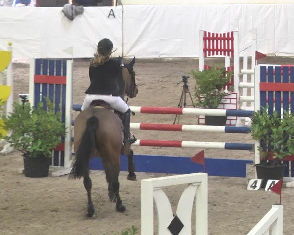 Reitturnier Viernheim 2018