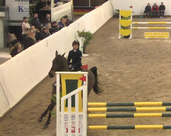 Reitturnier Viernheim 2018
