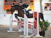 jumper Hanassie 2 (KWPN (Royal Dutch Sporthorse), 2005, from VDL Harley)