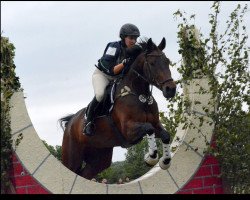 dressage horse Genito V (Westfale, 2008, from Grafenstolz)