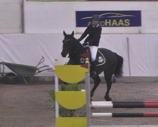 Reitturnier Viernheim 2018