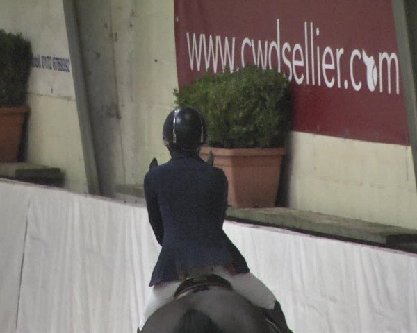 Reitturnier Viernheim 2018