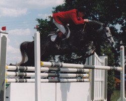 Springpferd Der Lenz (Holsteiner, 1988, von Lenz)