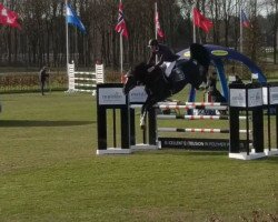 jumper Duc de Kerihuel (KWPN (Royal Dutch Sporthorse), 2008, from Padinus)