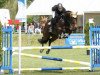 jumper All You Need F (Hanoverian, 2010, from Albatros 86)