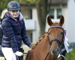 dressage horse Donna Dini (Hanoverian, 2009, from Danone 4)