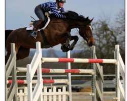 jumper Spooky Cat F (Hanoverian, 2007, from Stolzenberg)