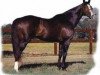 stallion Fitzcarraldo xx (Thoroughbred, 1981, from Cipayo xx)
