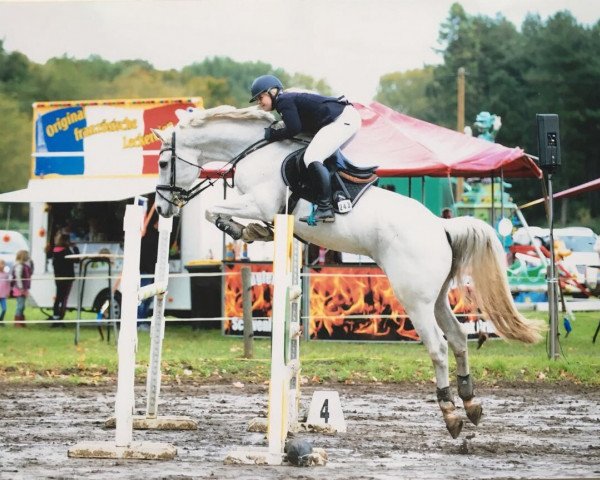 Springpferd Ektor M (Belgisches Warmblut, 2004, von Clinton)